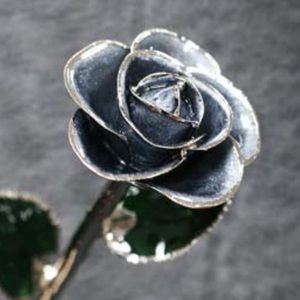 Stardust Gray Platinum Rose
